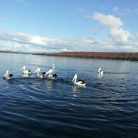 Pelican Point Sanctuary Сент-Геленс Екстер'єр фото
